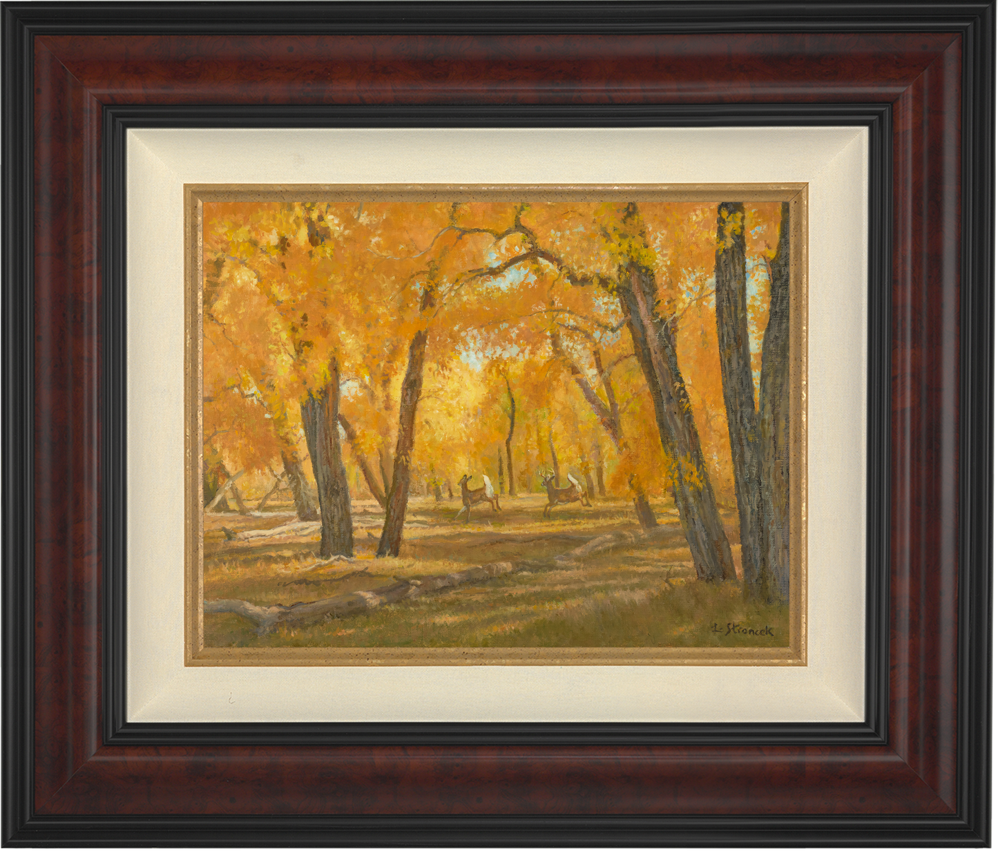 Through the Cottonwoods_Burl.png