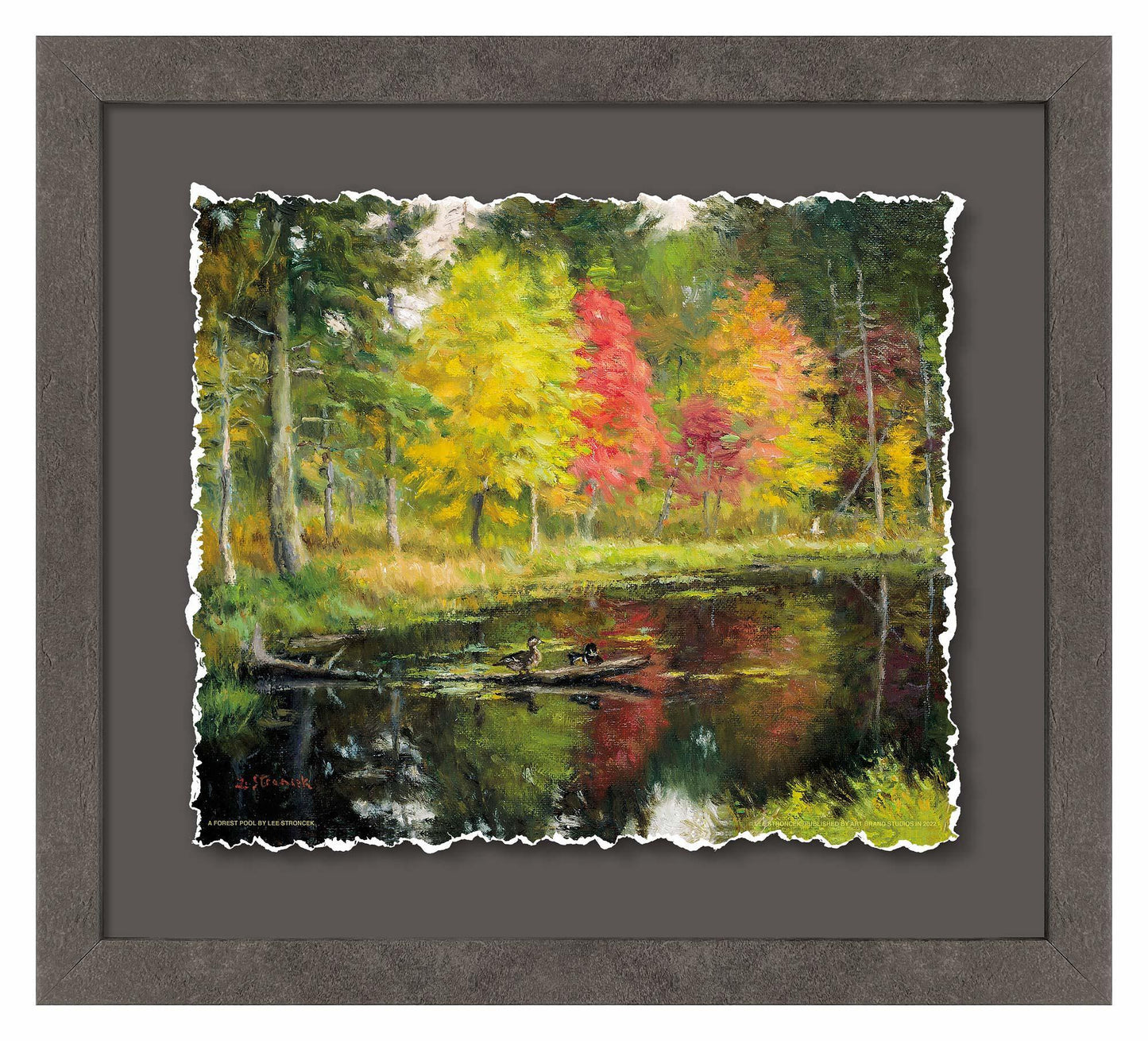 A Forest Pool—Wood Ducks