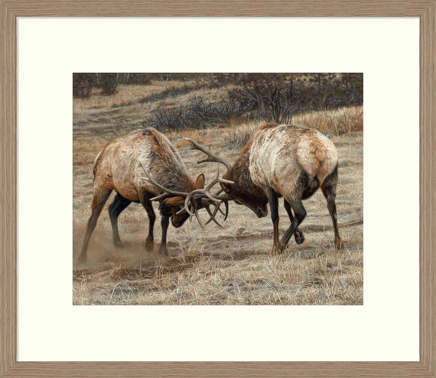 Anything for Love-Elk - 24" x 36" Framed Gallery Canvas