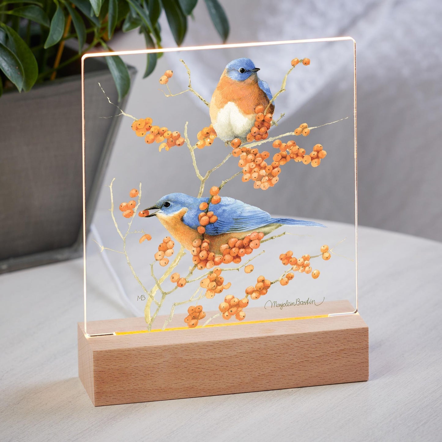 Bluebirds Acrylic Night Light - Wild Wings