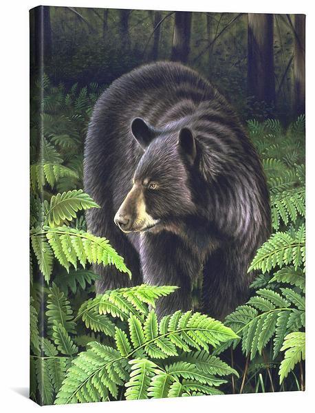 Bracken Hollow—Black Bear Gallery Wrapped Canvas - Wild Wings