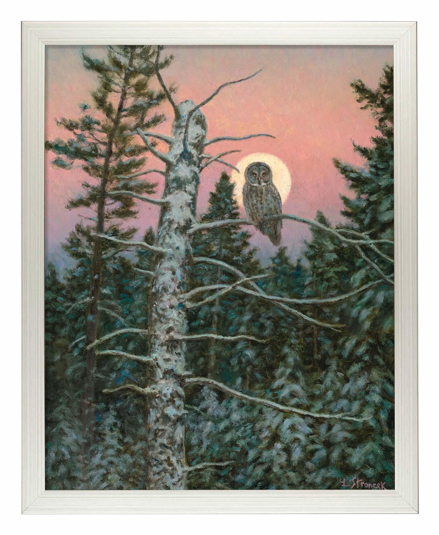 Great Gray Hunter