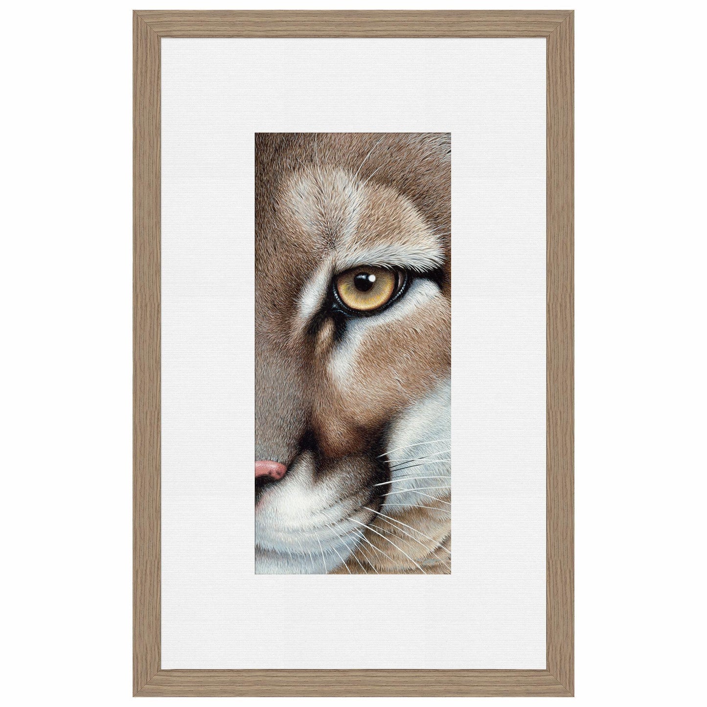 Intense - Mountain Lion