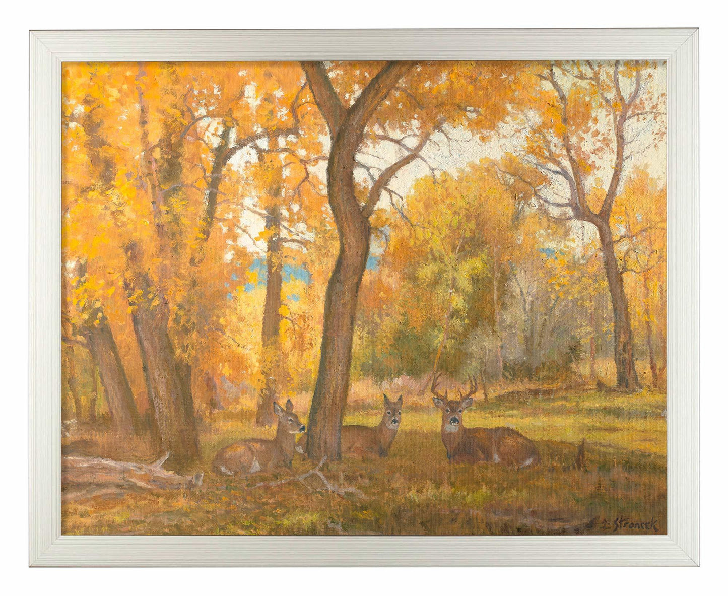 River Bottom Autumn