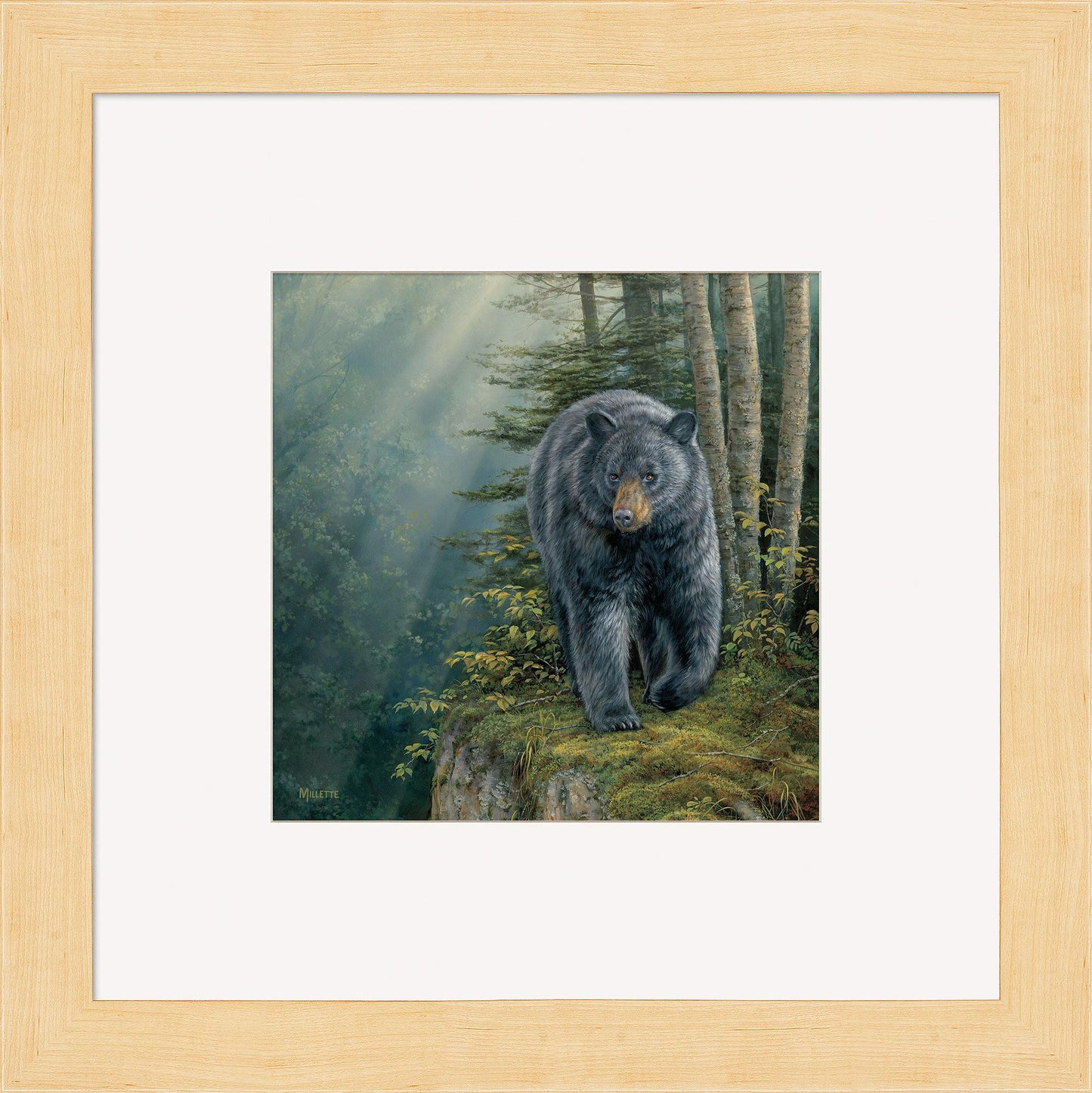 Rocky Outcrop—Black Bear Contempo Square - Wild Wings