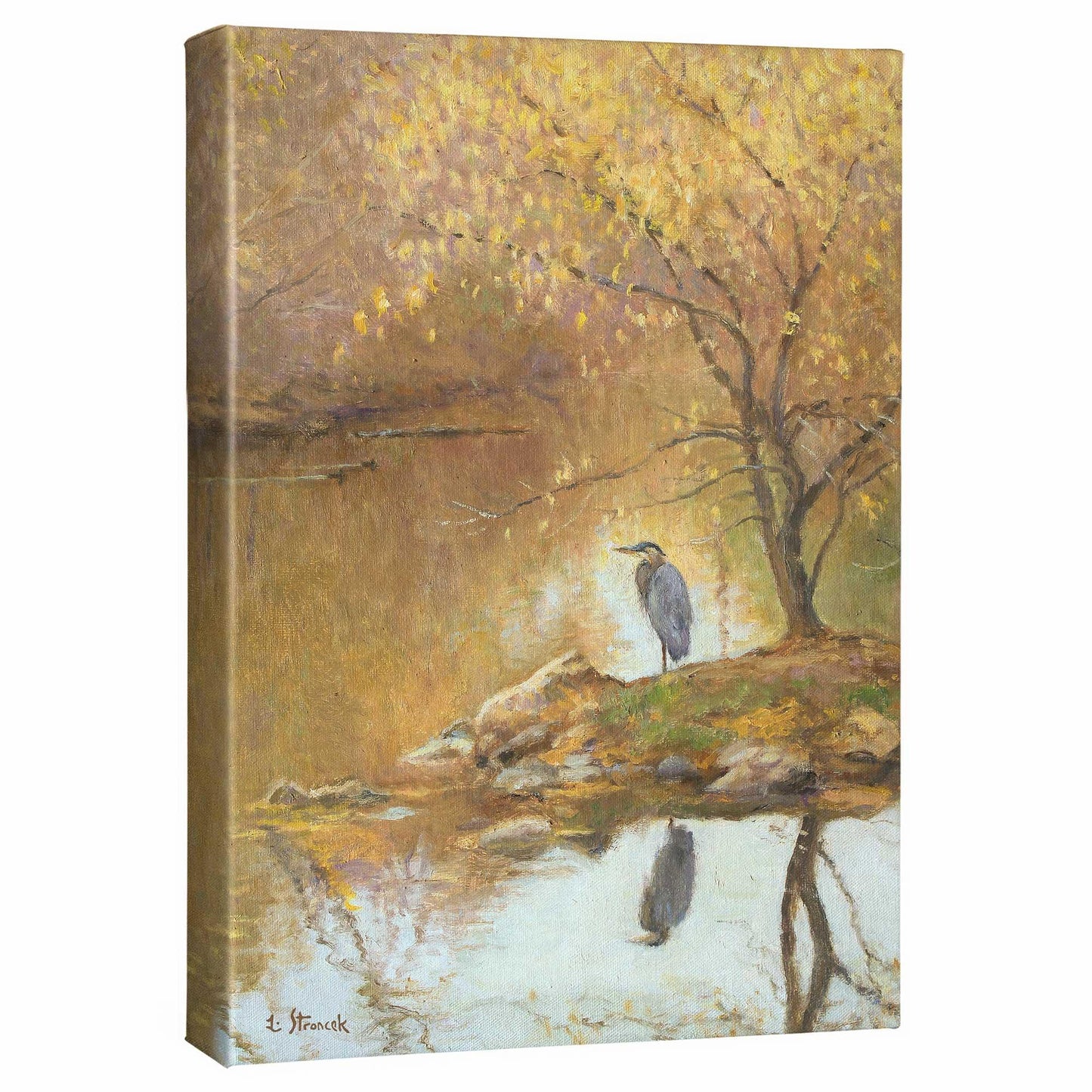 Heron Island Gallery Wrapped Canvas - Wild Wings