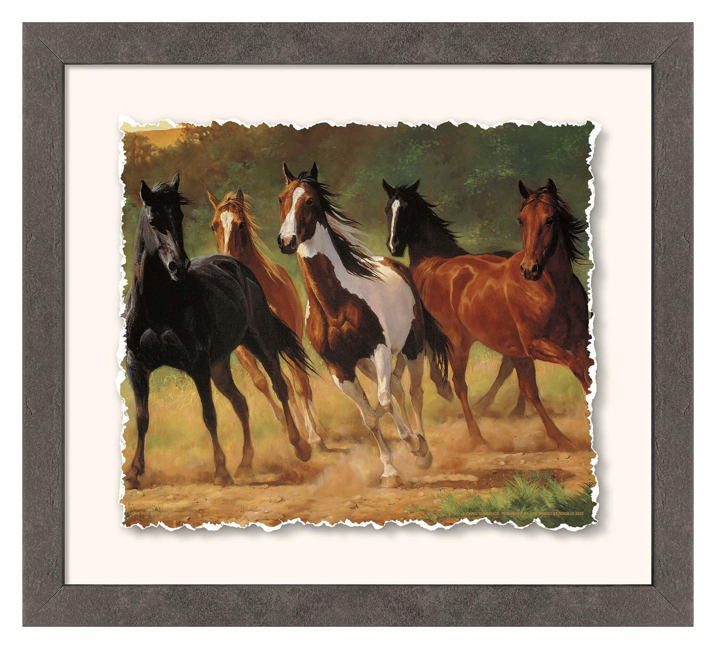 Home Run—Horses