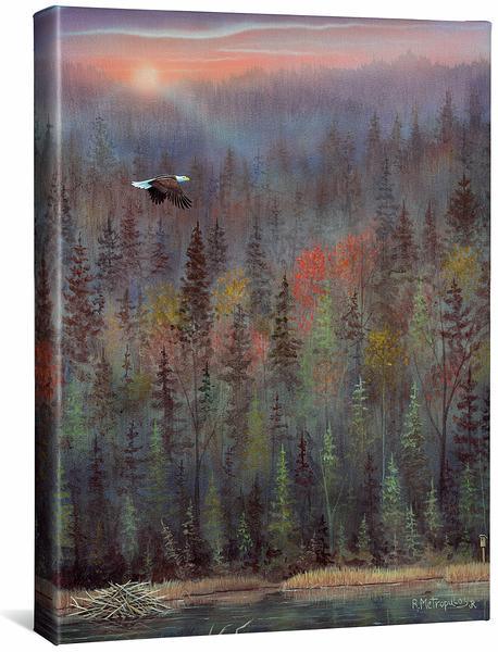 Misty ForestBald Eagle Gallery Wrapped Canvas - Wild Wings