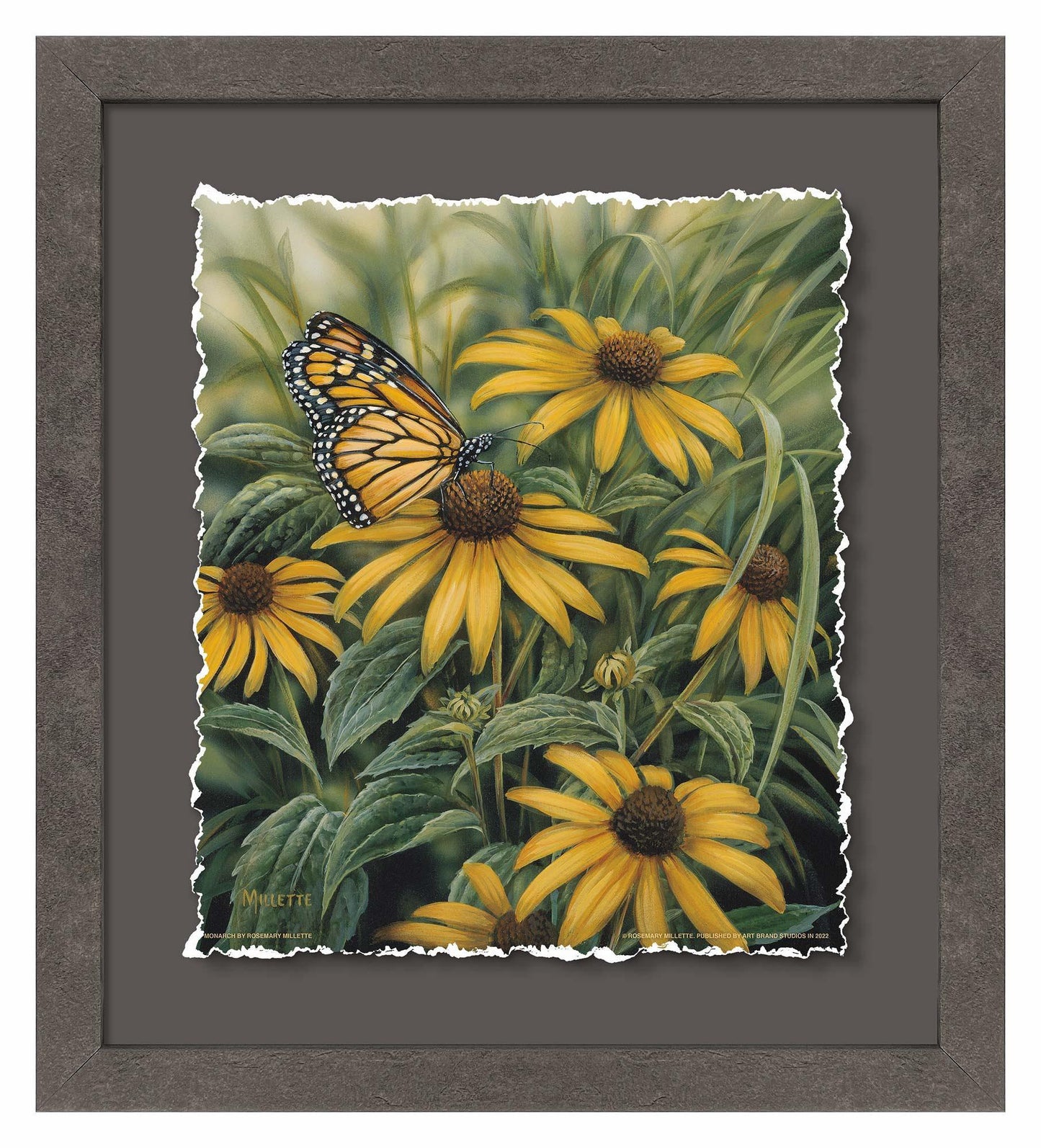 Monarch Butterfly