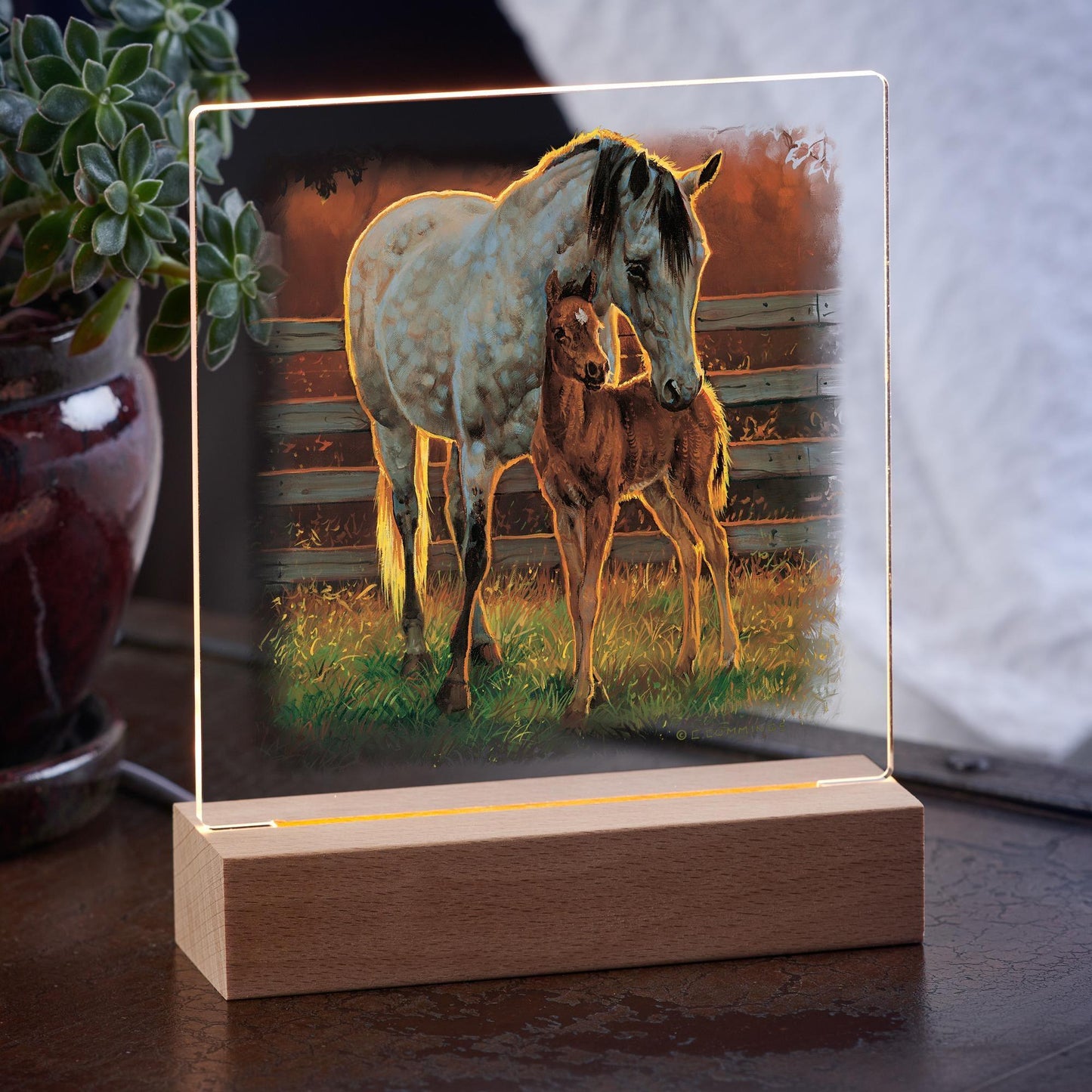 Quiet Time—Quarter Horse Acrylic Night Light - Wild Wings