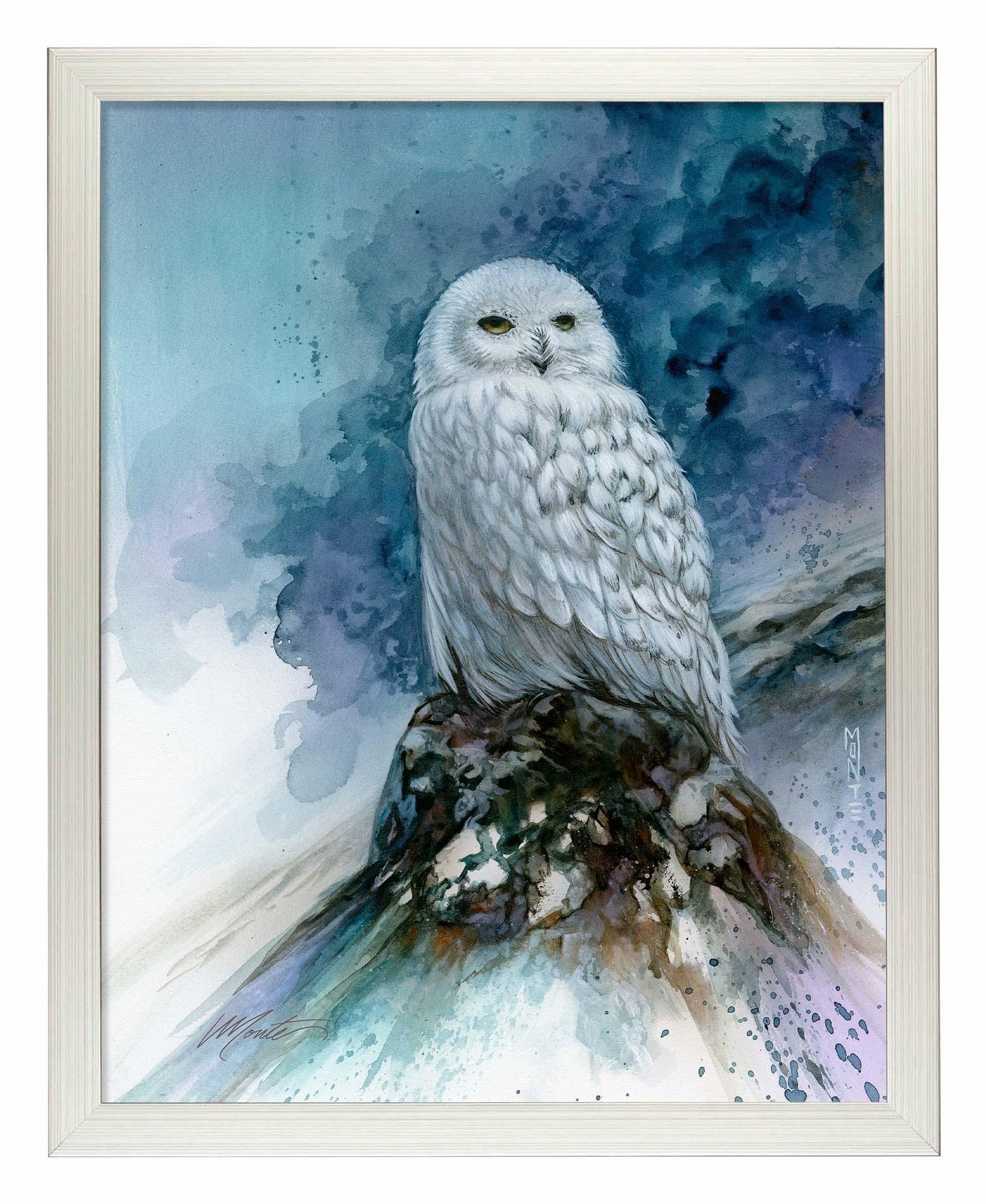 Snow Storm—Snowy Owl