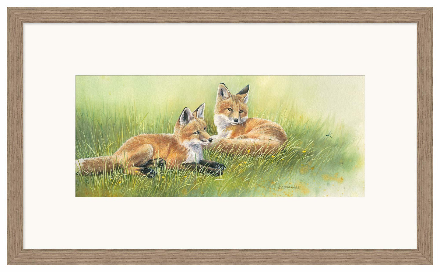 Time Out—Fox Kits - Limited Edition Paper