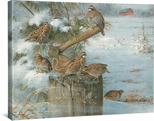 Wintering Quail Gallery Wrapped Canvas - Wild Wings