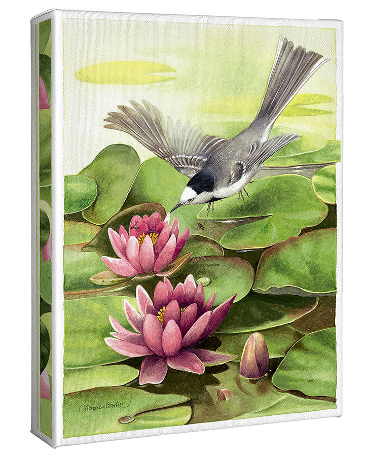 Pink Lillies - 12" x 9" Gallery Wrapped Canvas