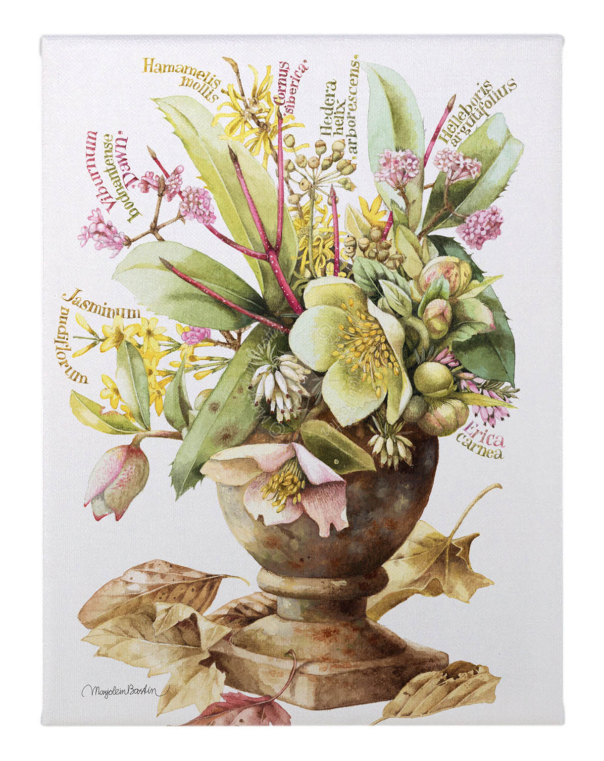 Winter Bouquet - 12" x 9" Gallery Wrapped Canvas