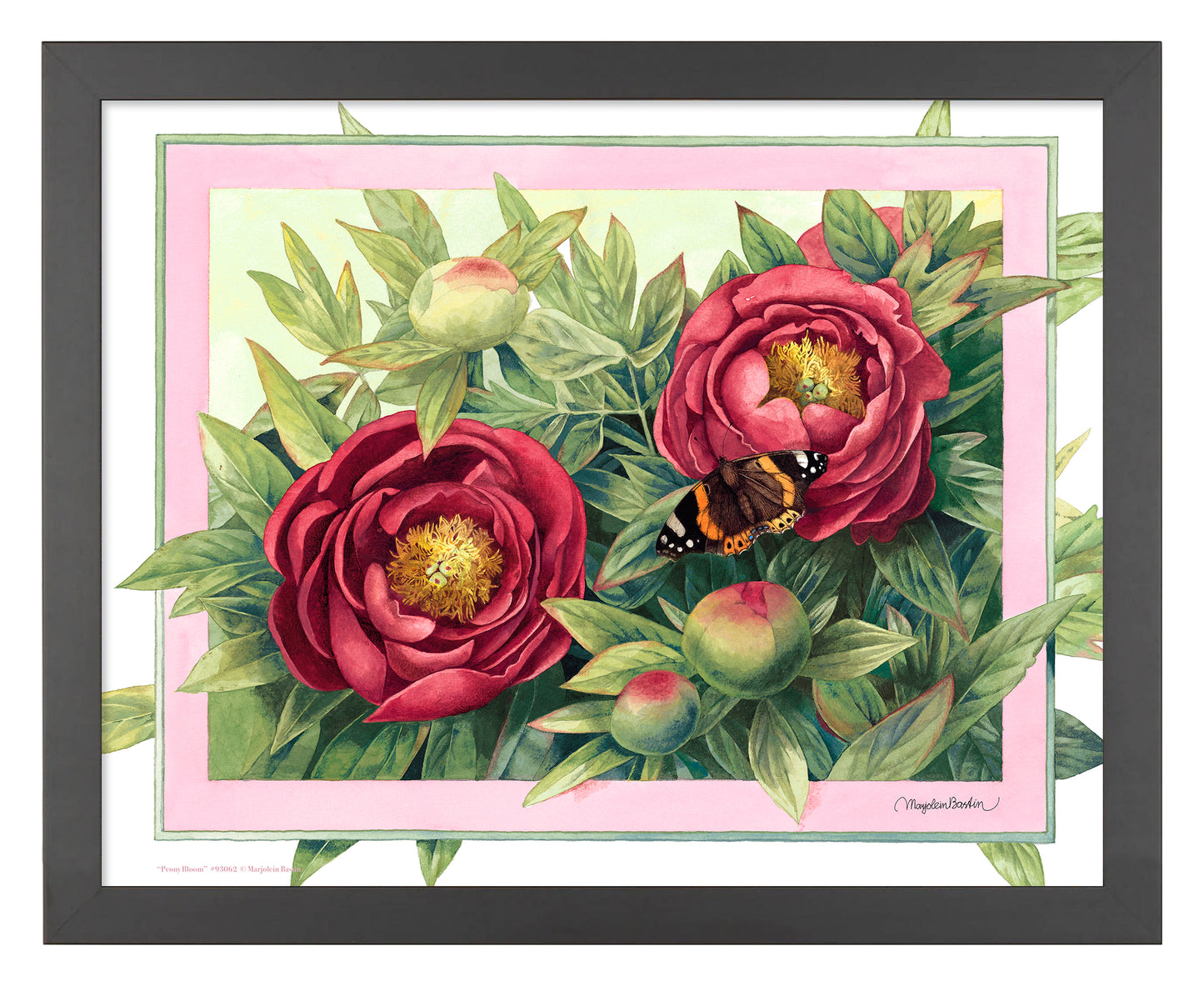 Peony Bloom - Art Prints
