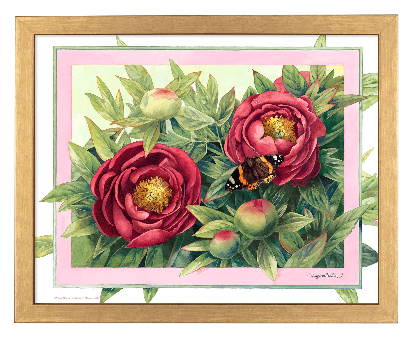 Peony Bloom - Art Prints