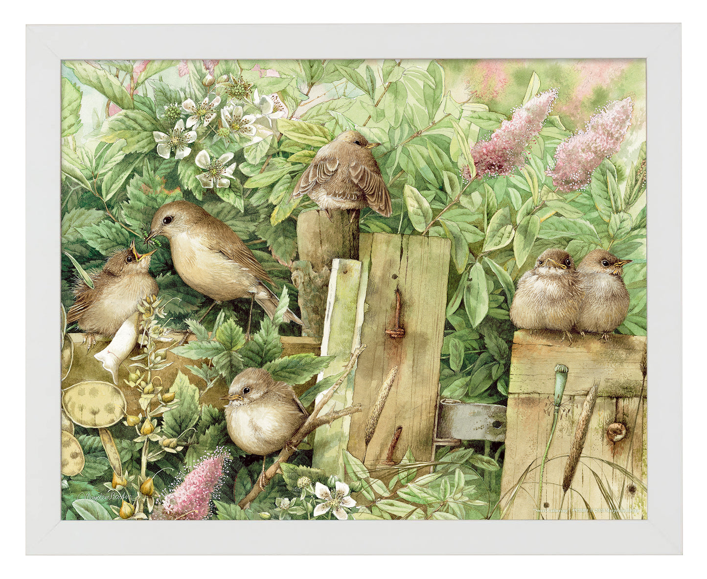 Sweet Gathering - Art Prints