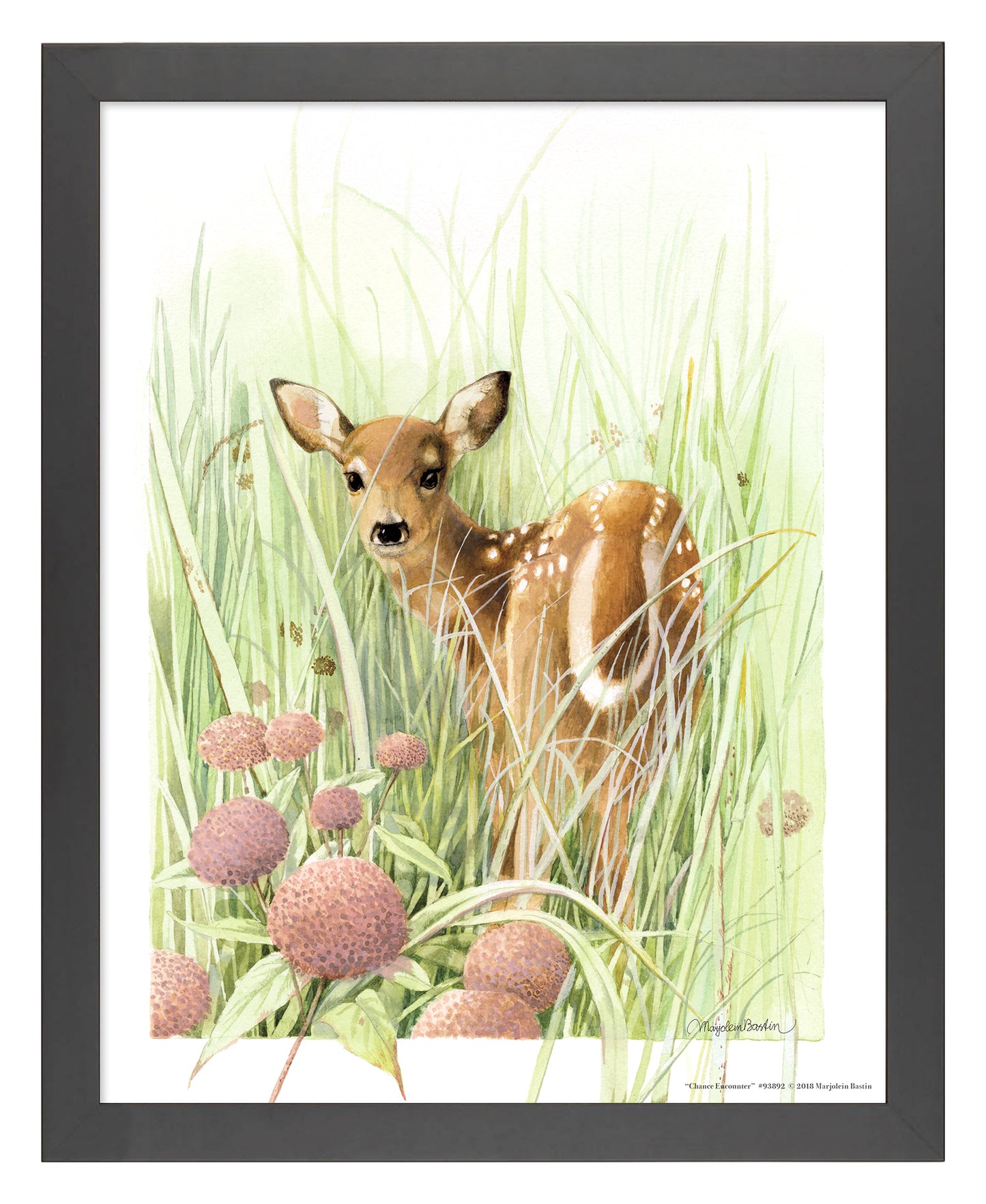 Chance Encounter - Art Prints