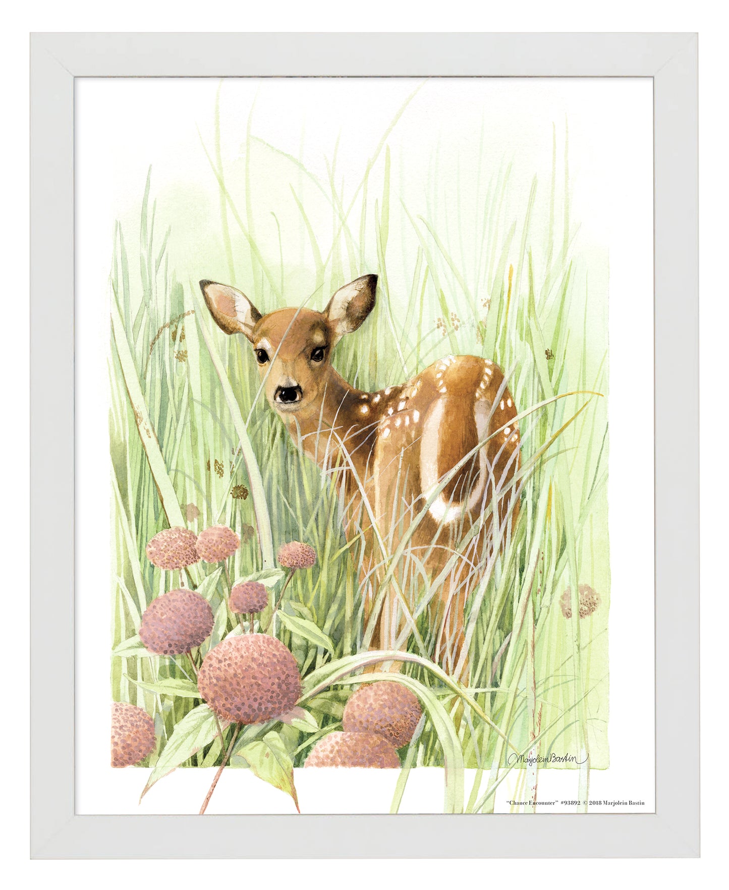 Chance Encounter - Art Prints