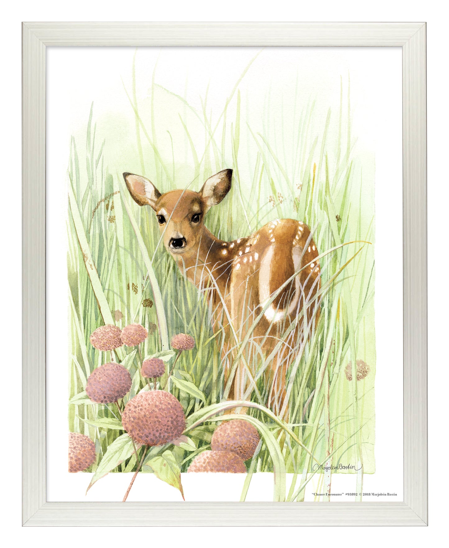 Chance Encounter - Art Prints