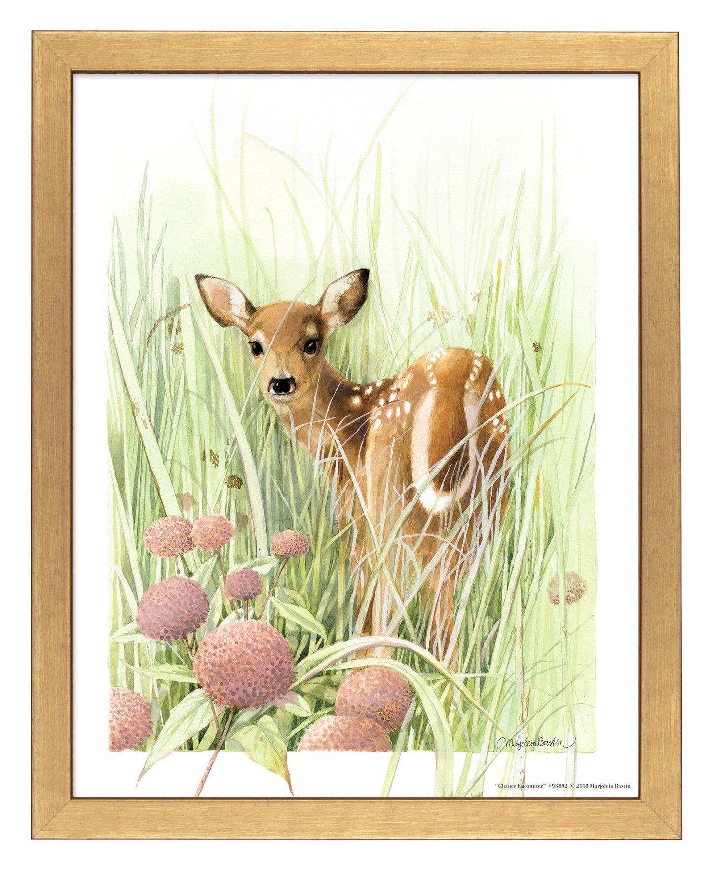 Chance Encounter - Art Prints