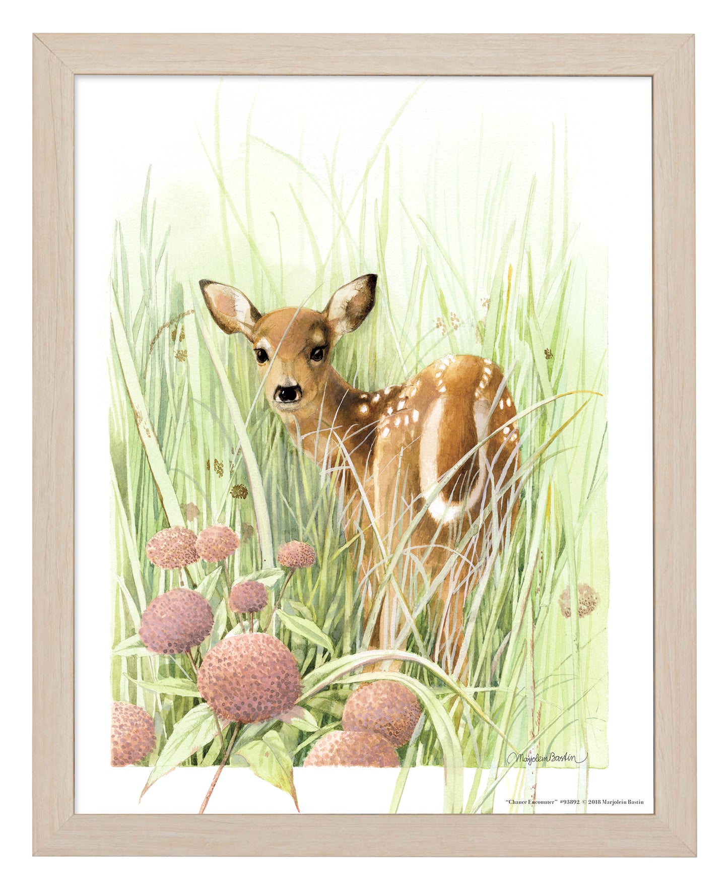 Chance Encounter - Art Prints