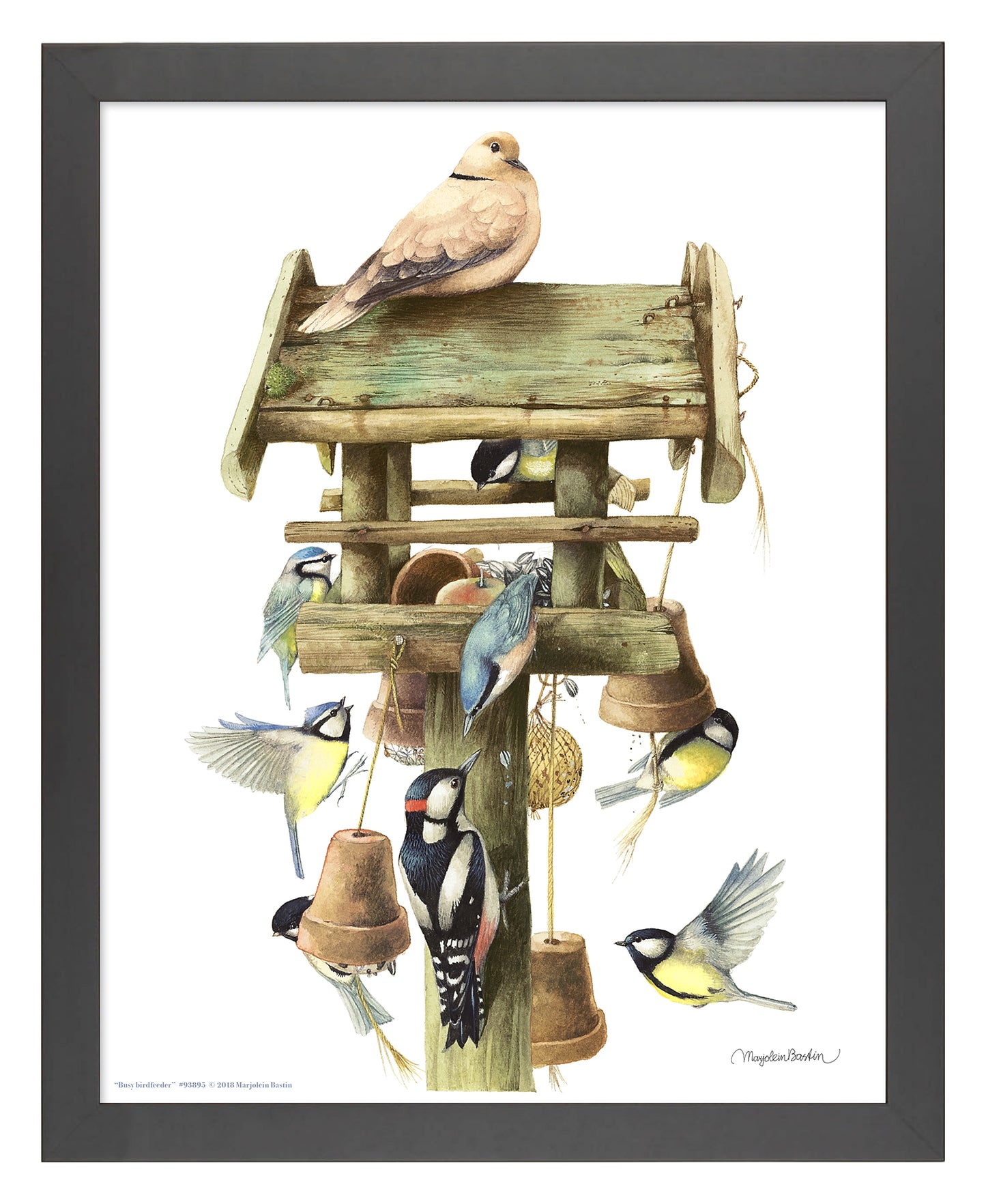 Busy Birdfeeder - Art Prints