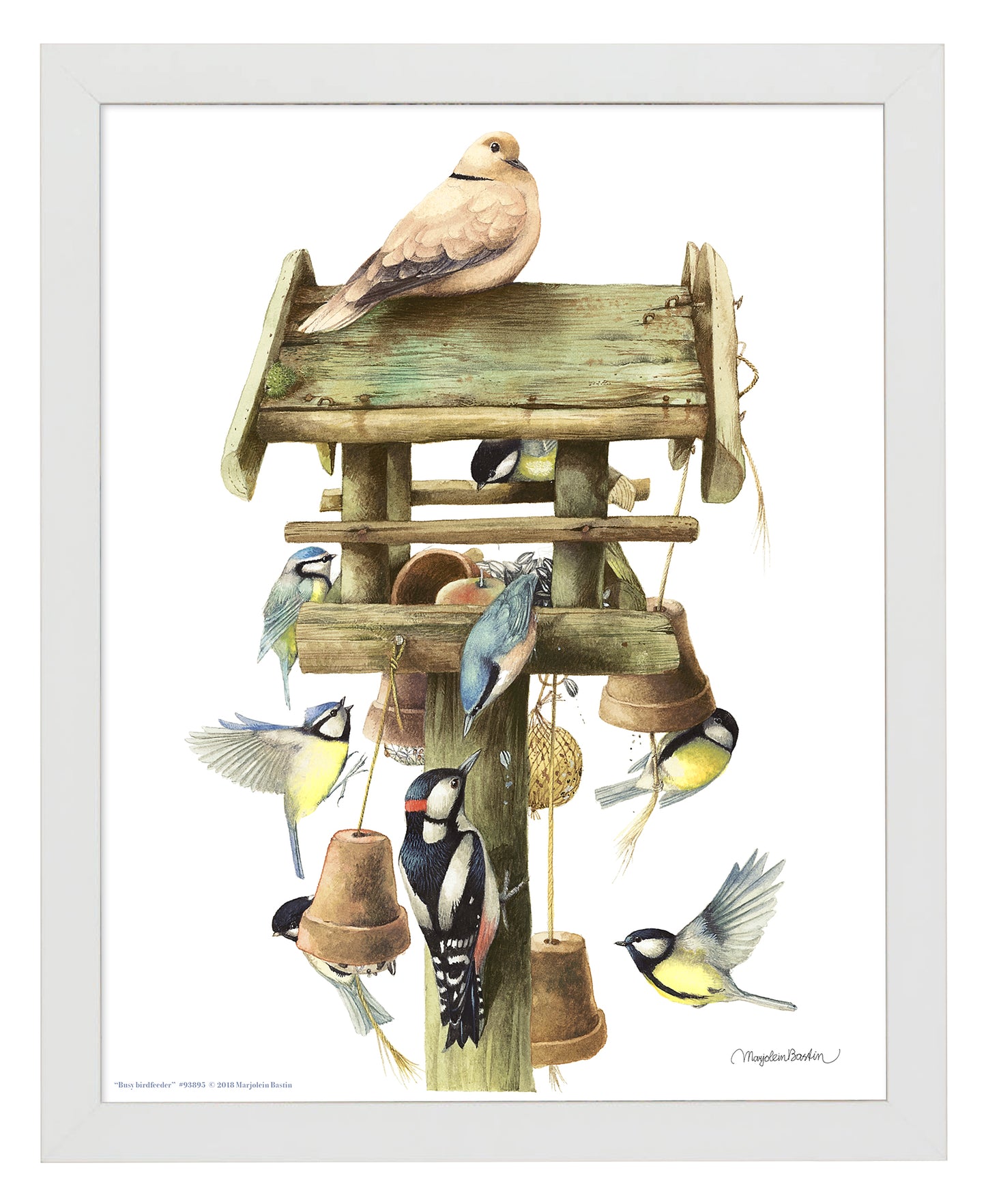 Busy Birdfeeder - Art Prints