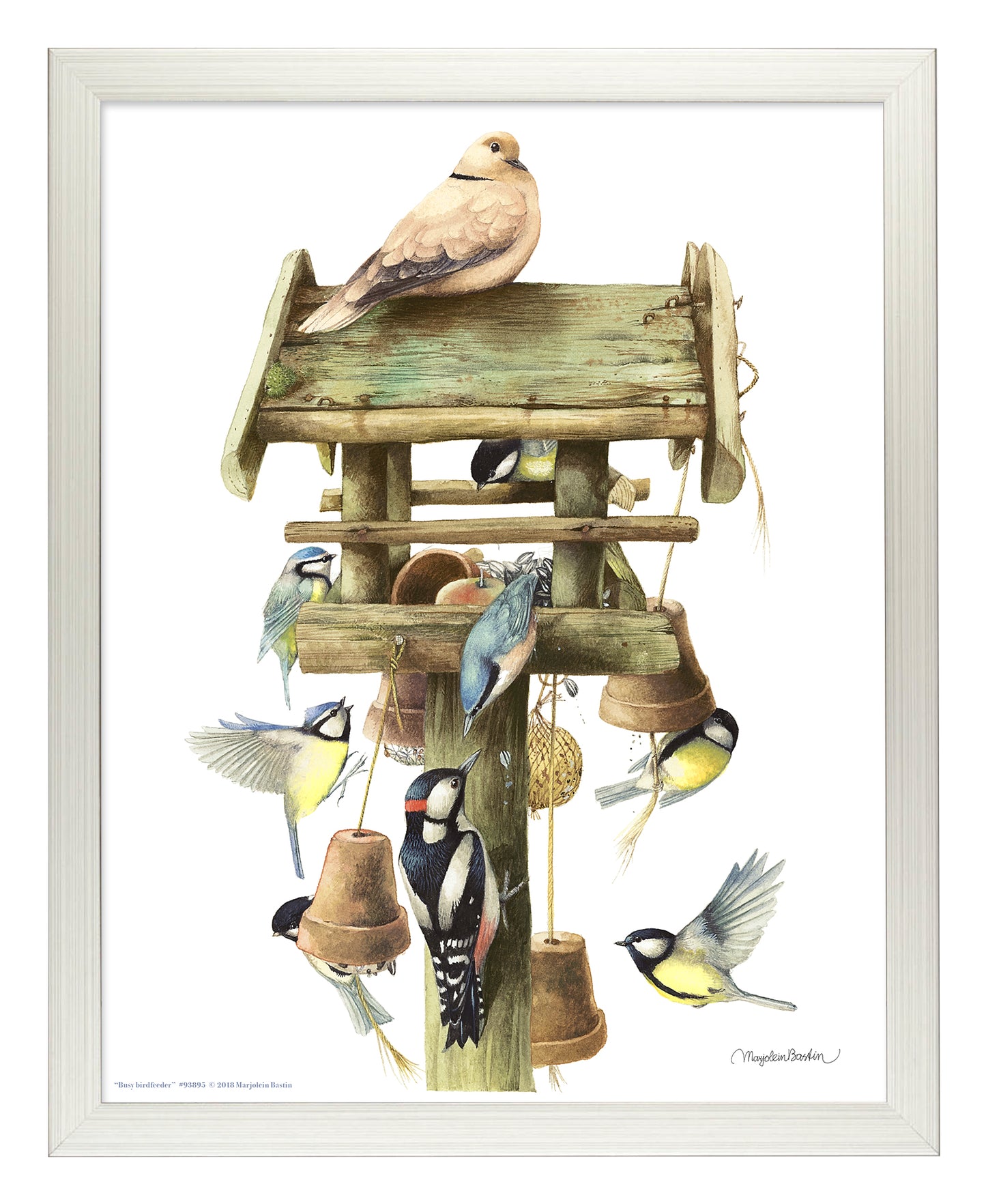 Busy Birdfeeder - Art Prints