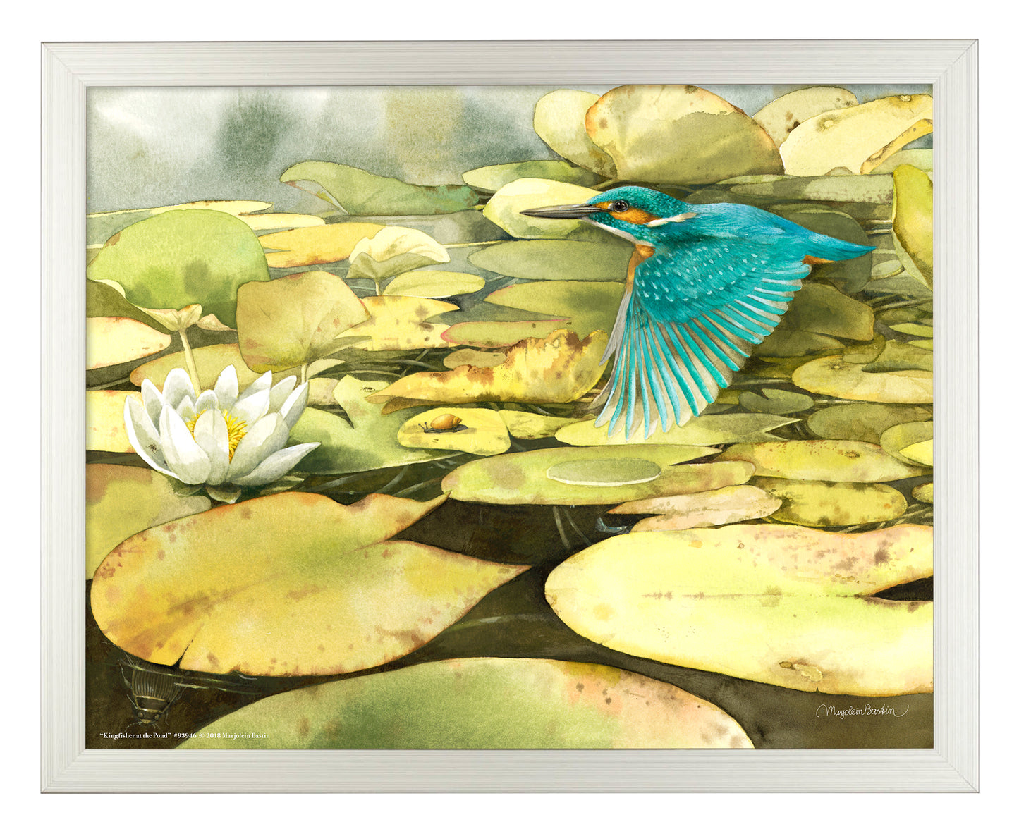 Kingfisher at the Pond - Art Prints