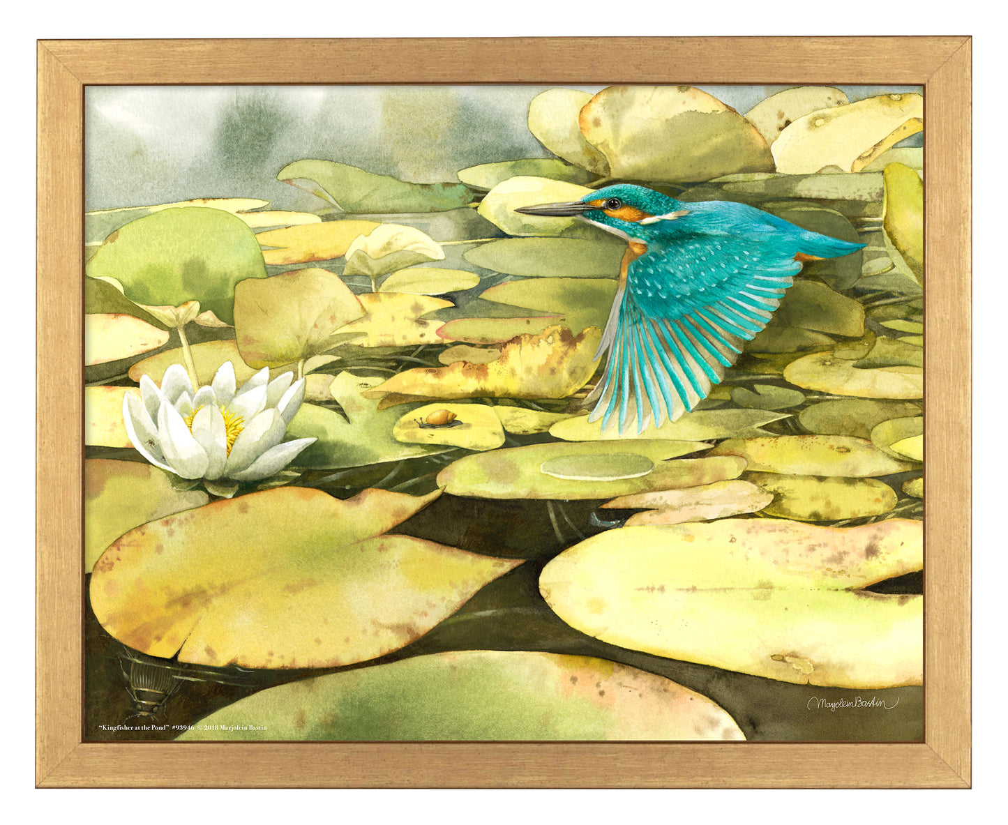 Kingfisher at the Pond - Art Prints