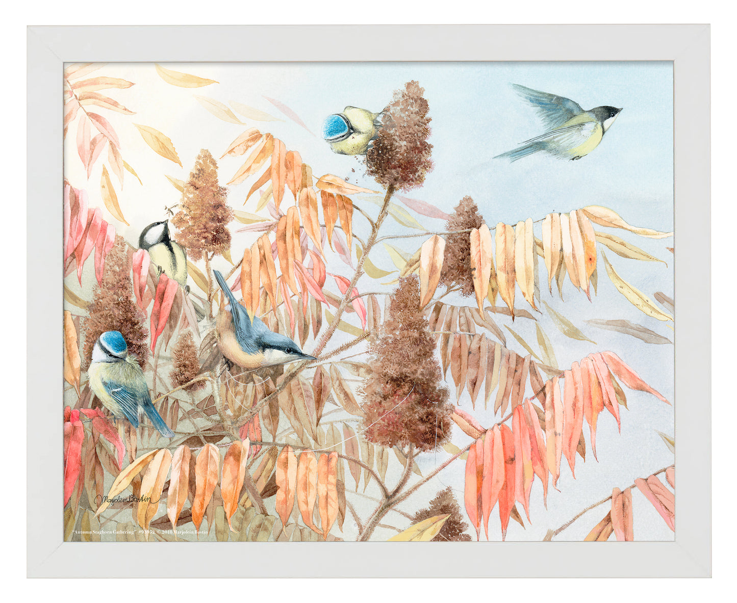 Autumn Staghorn Gathering - Art Prints