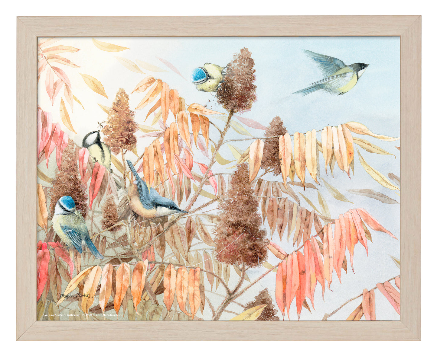 Autumn Staghorn Gathering - Art Prints