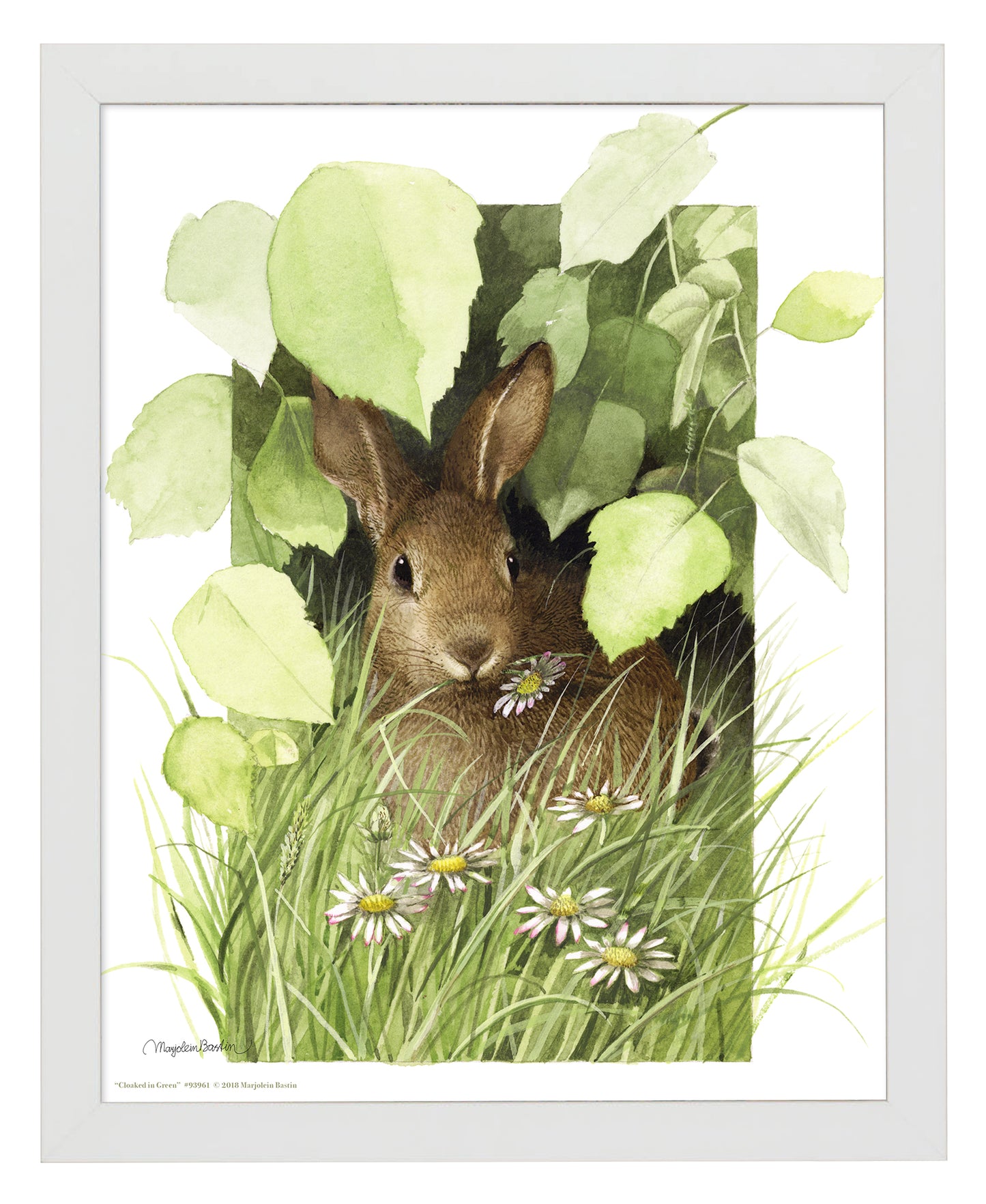 Cloaked in Green - Art Prints