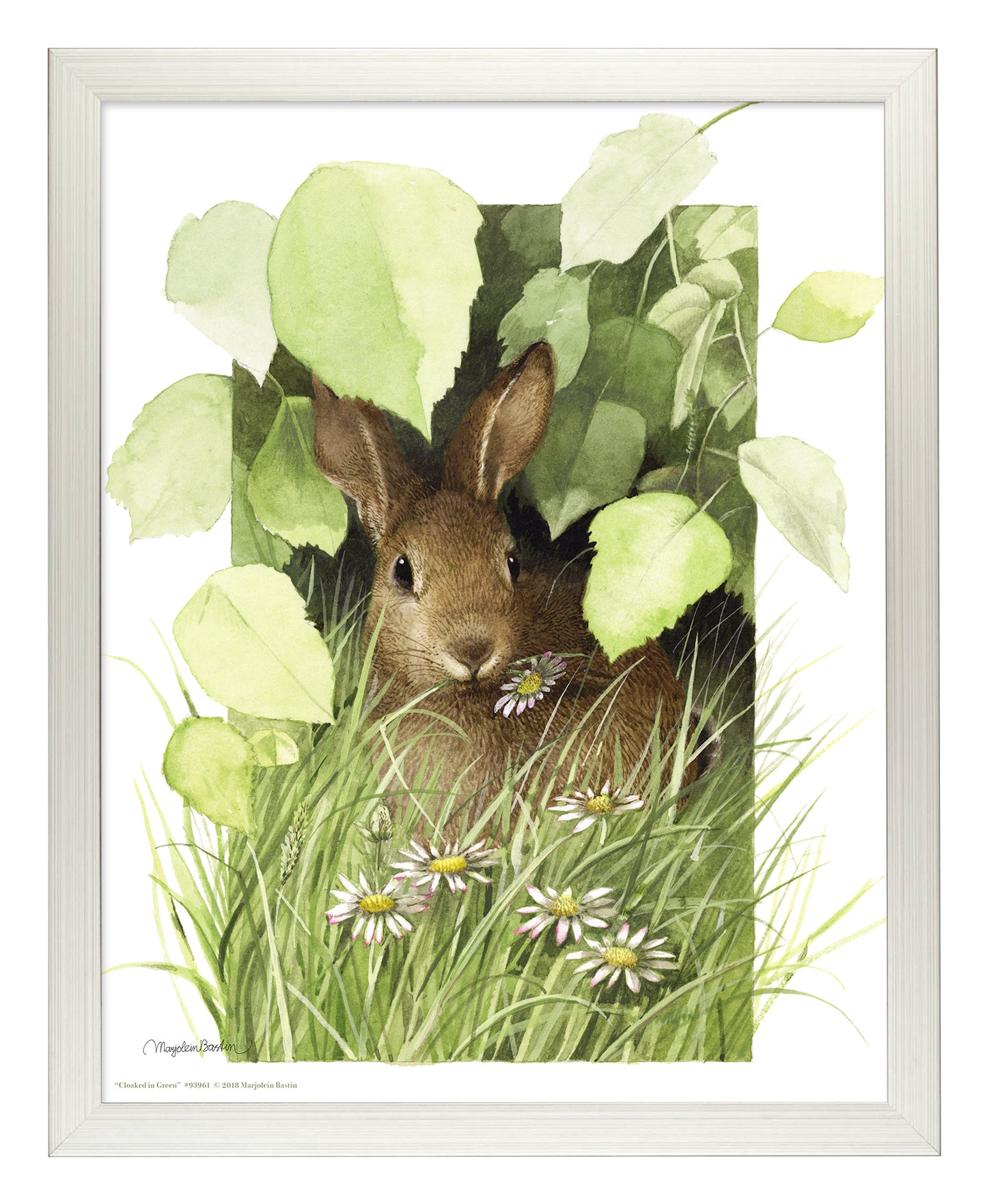 Cloaked in Green - Art Prints