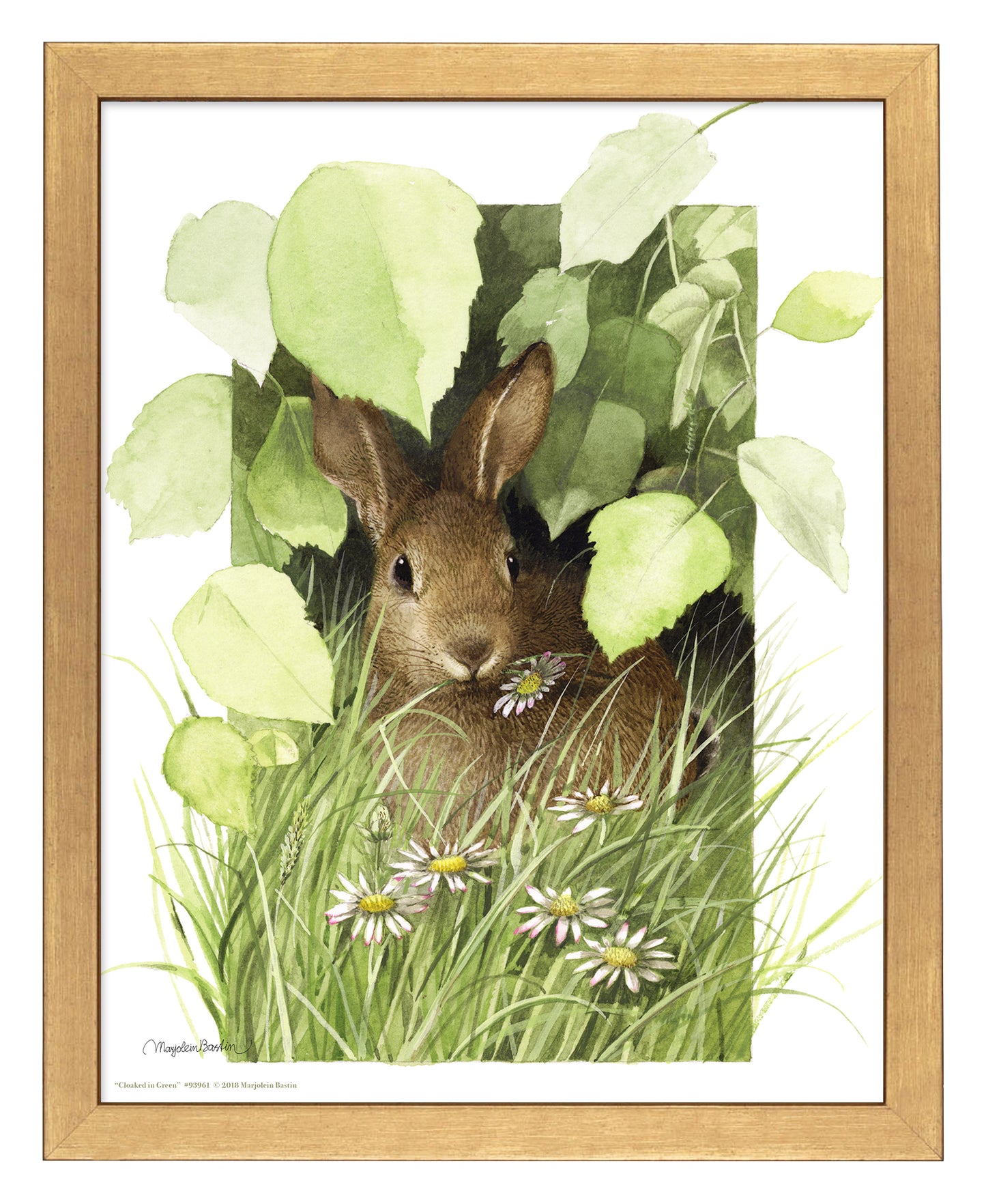Cloaked in Green - Art Prints