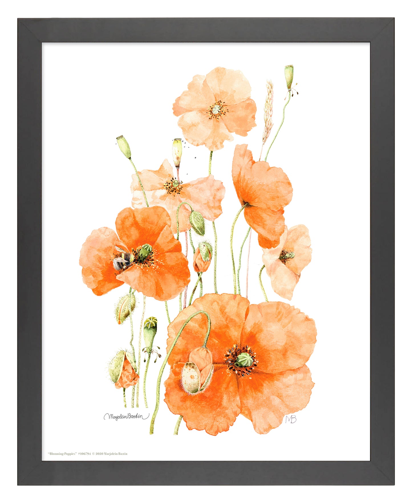 Blooming Poppies - Art Prints