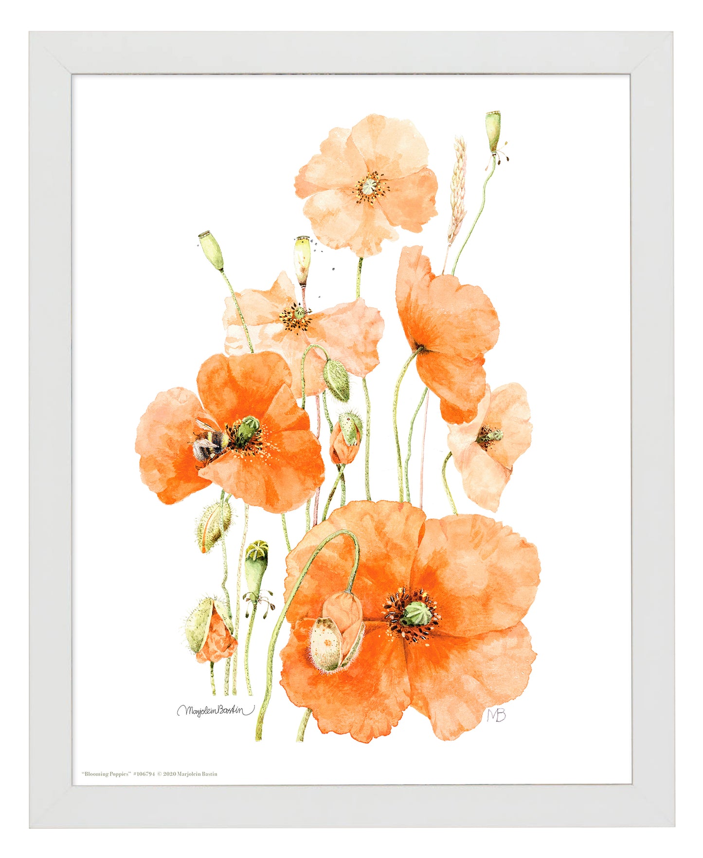 Blooming Poppies - Art Prints