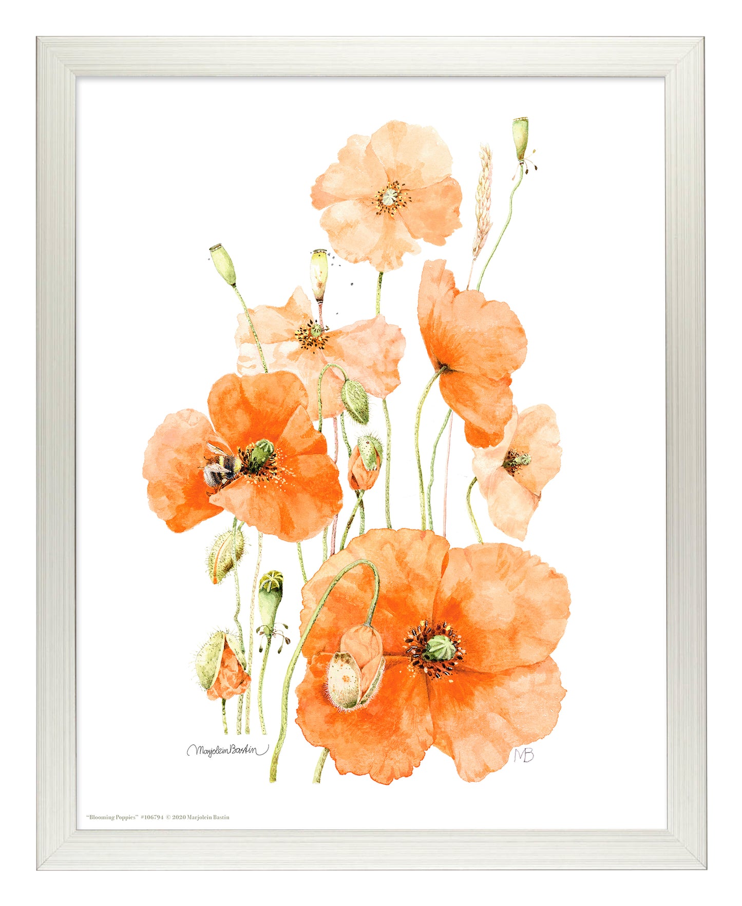 Blooming Poppies - Art Prints