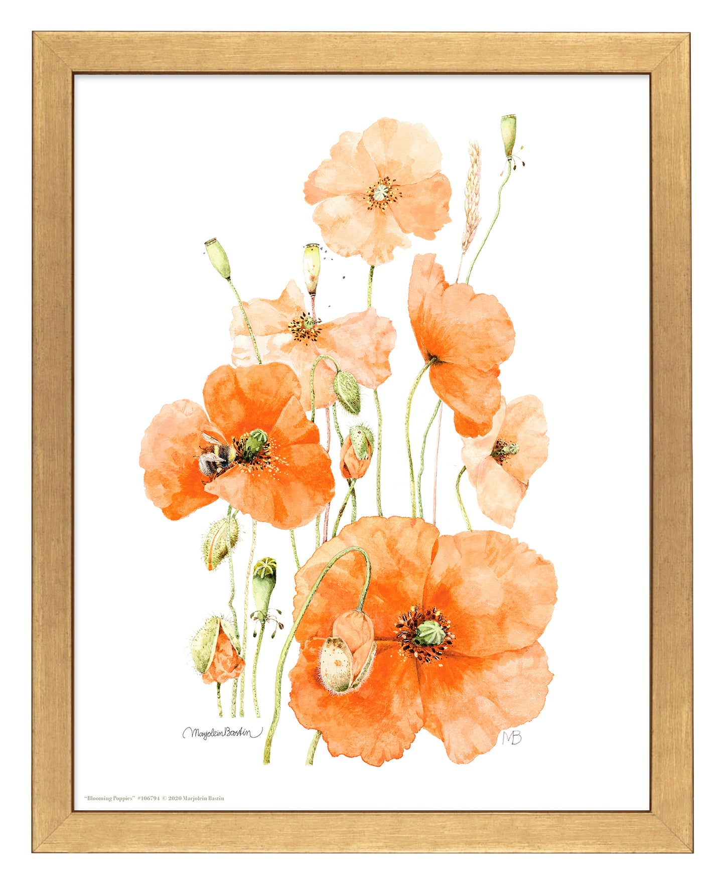 Blooming Poppies - Art Prints