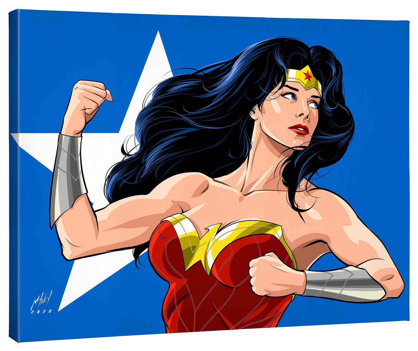 Wonder Woman - 24" x 30" Gallery Wrapped Canvas