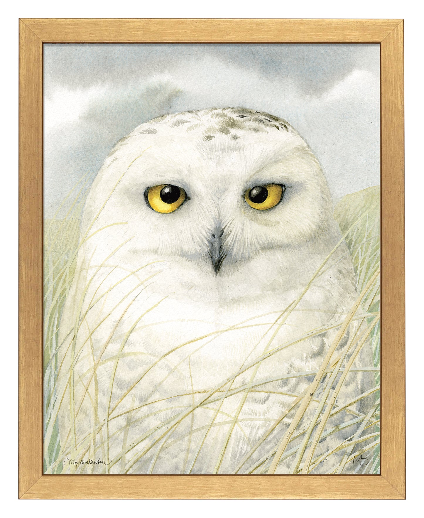 Snowy Owl Wisdom - Art Prints