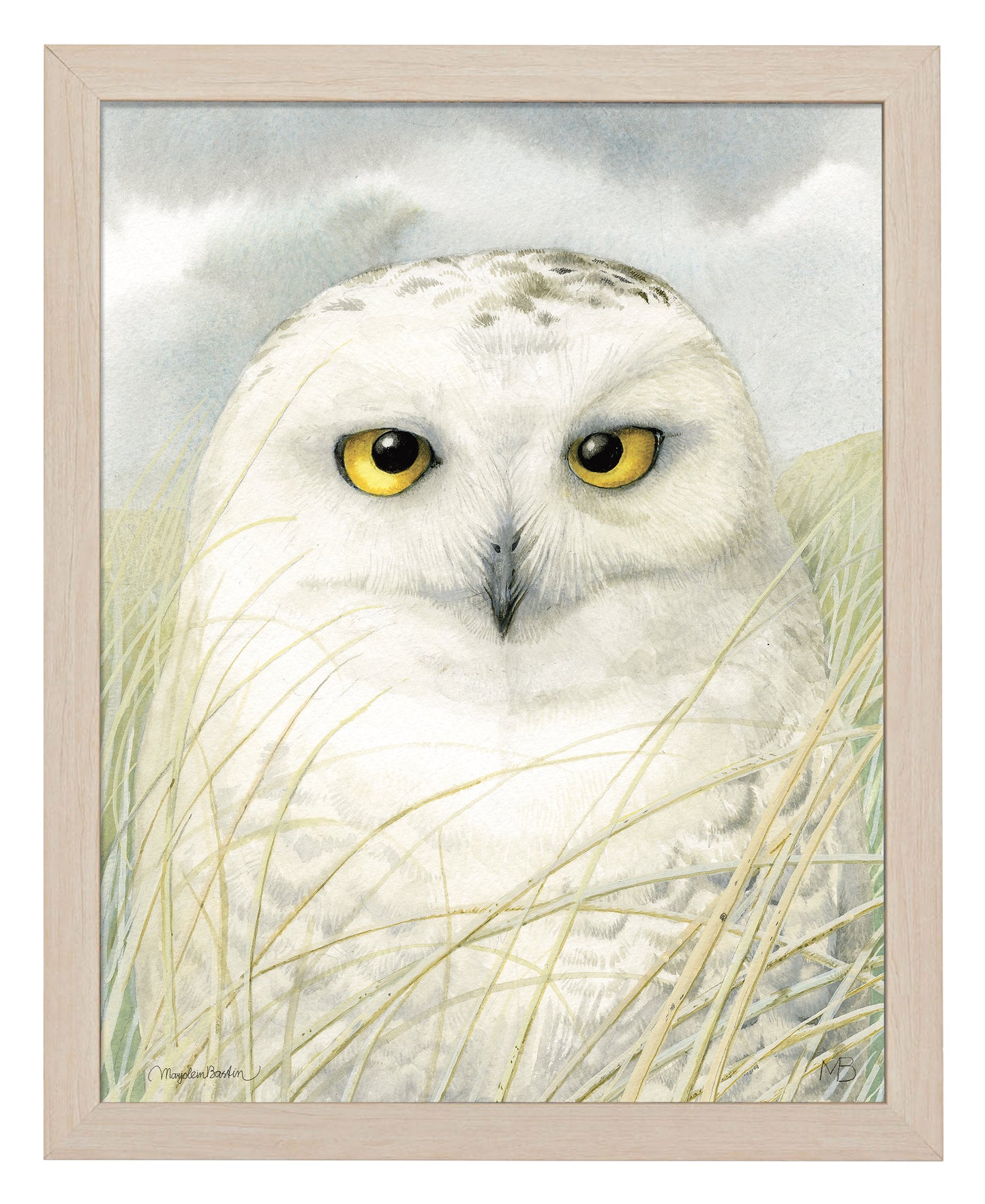 Snowy Owl Wisdom - Art Prints