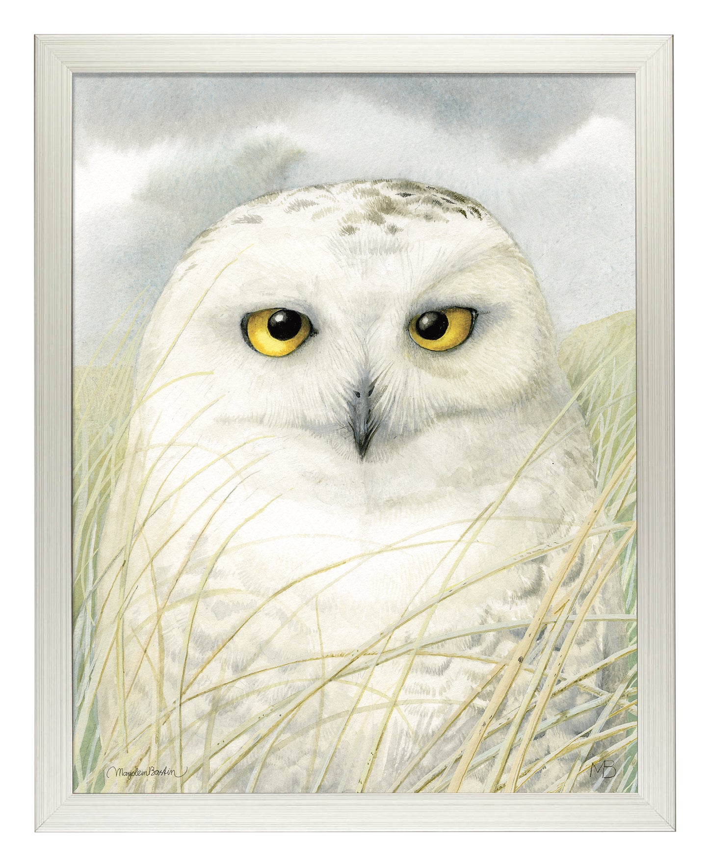 Snowy Owl Wisdom - Art Prints