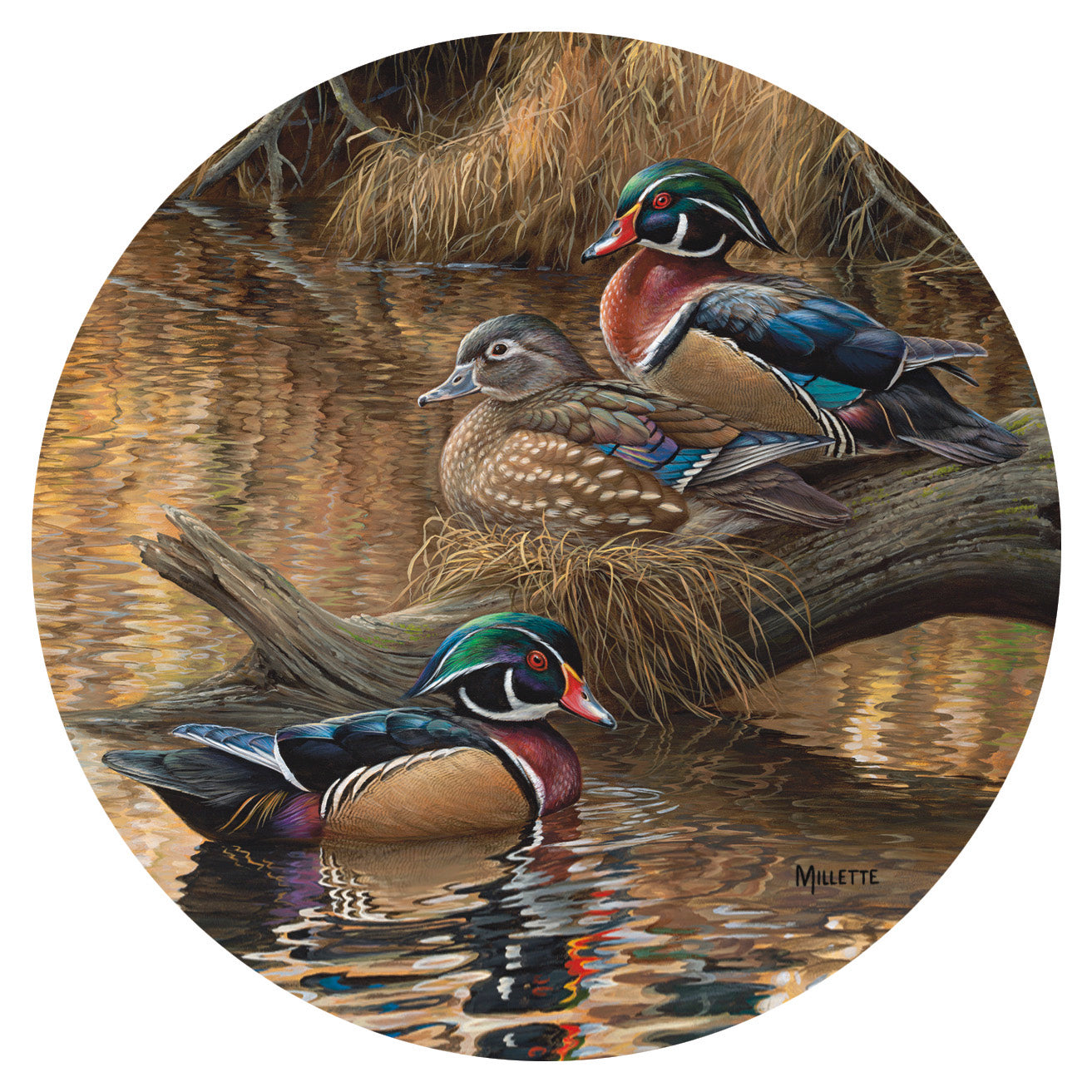 123886_4209101005_7885_MIL05234_WoodDucksCoaster.jpg