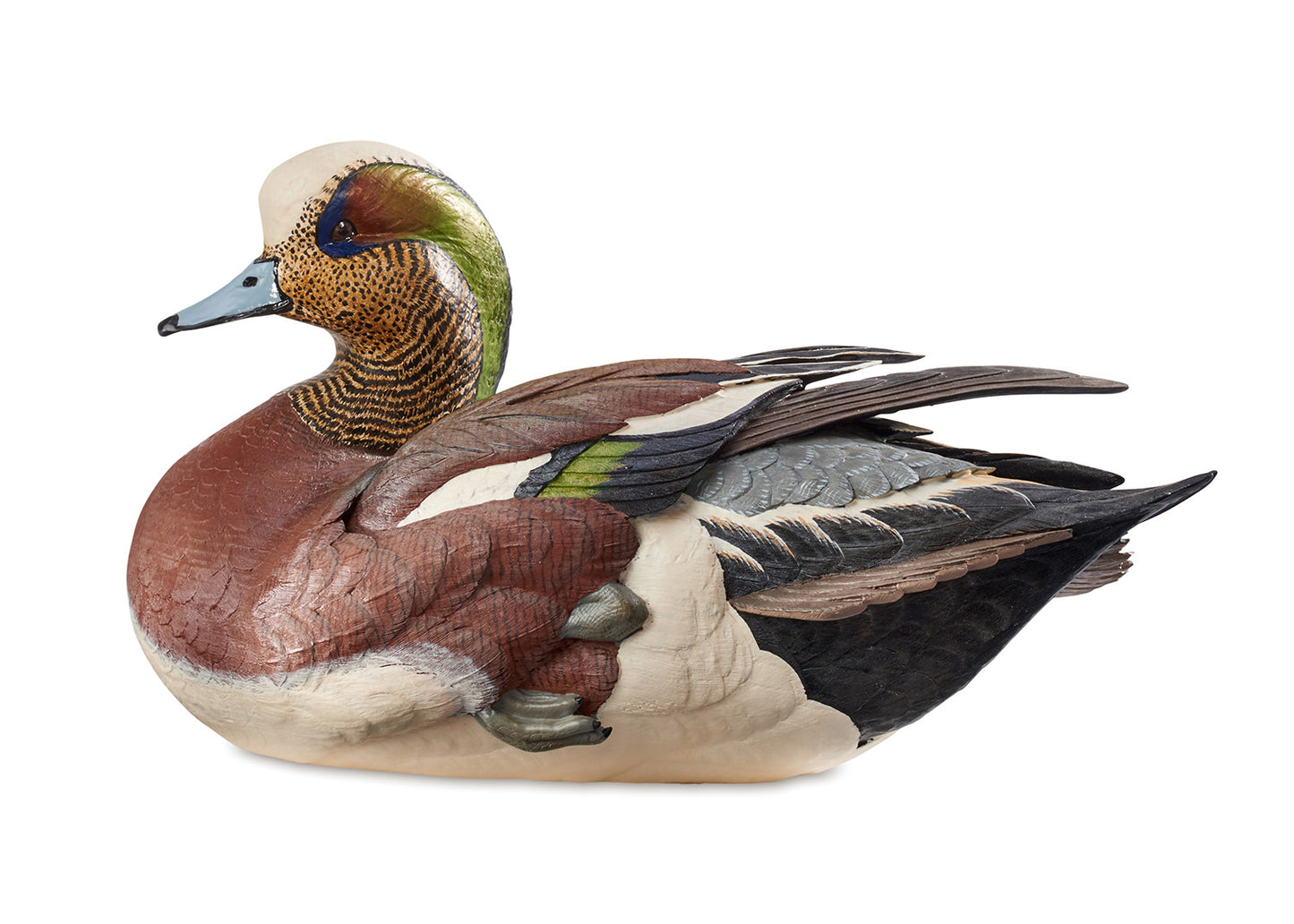 Weaver Bottoms - American Widgeon