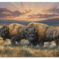 Dusty Plains - Bison - 2' x 3' Floor Mat