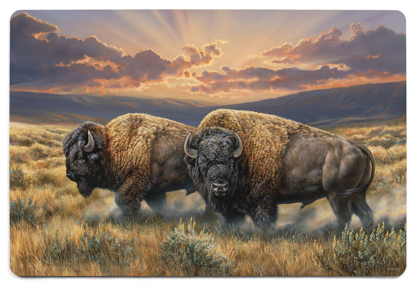 Dusty Plains - Bison - 2' x 3' Floor Mat