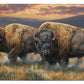 Dusty Plains - Bison - 2' x 4' Floor Mat